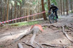 Klobucke stezky 26