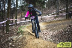 1_web_wbs-tosovice-26-4324