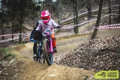 web_wbs-tosovice-26-4998