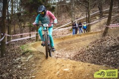 web_wbs-tosovice-26-5621