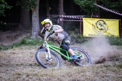1_web_wbs-2784