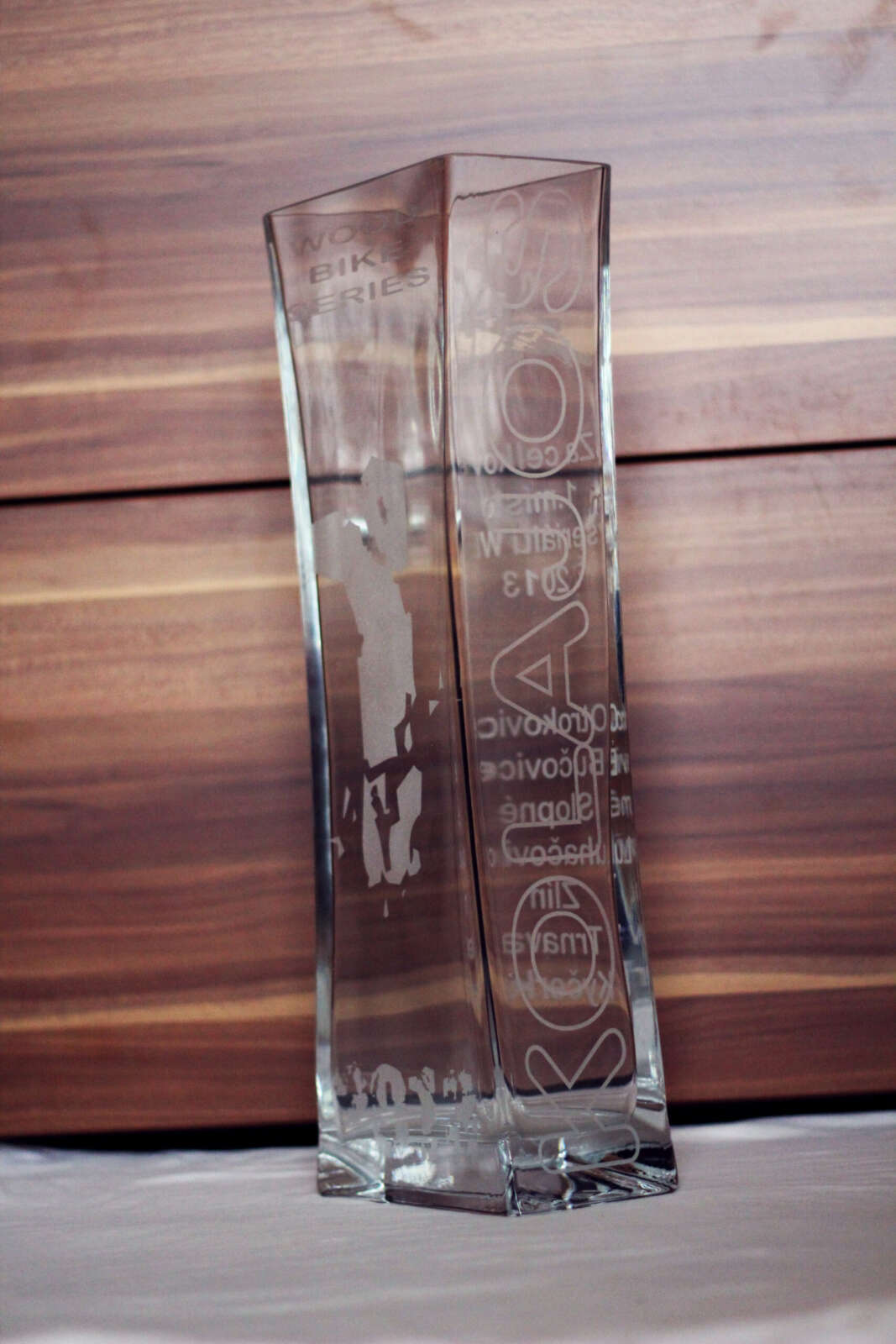 Trofej WBS 2013